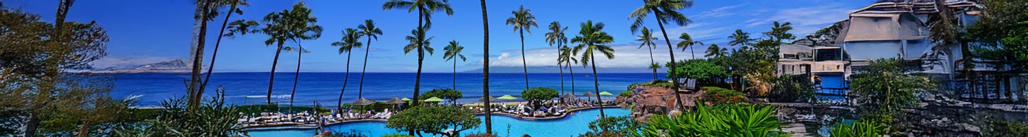 Primary Care in Paradise 2027 Banner
